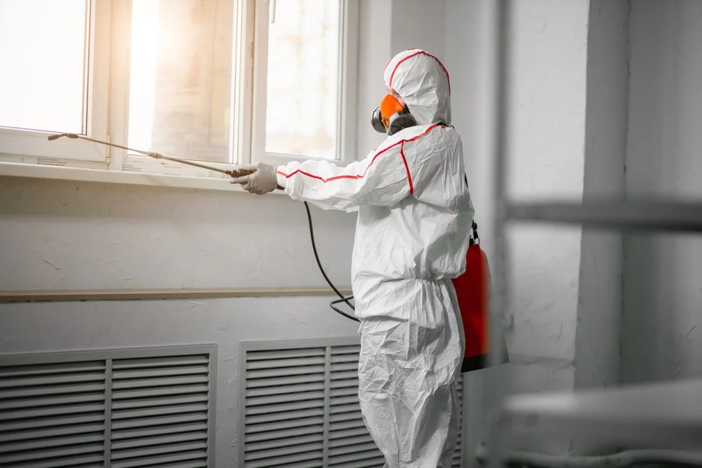 Professional mold remediation services in Eyota, MN